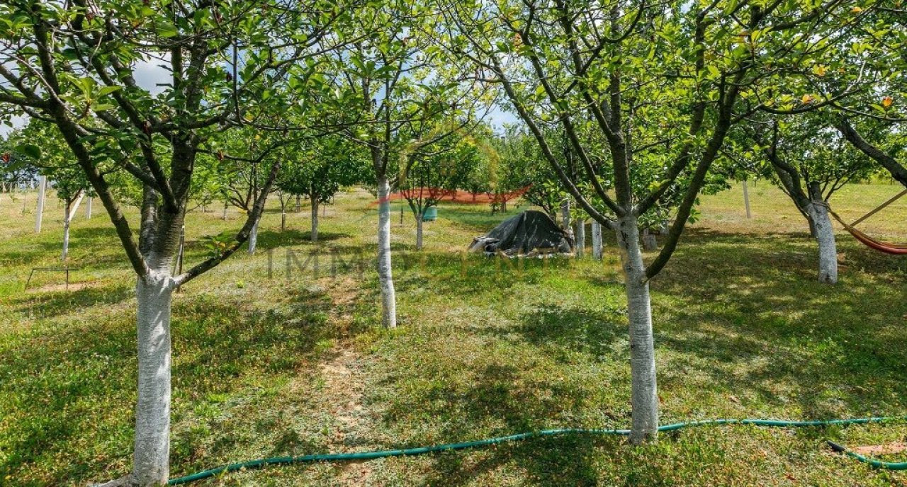 (AAA) Landhaus in ruhiger Weinberglage bei Tapolca (33471)