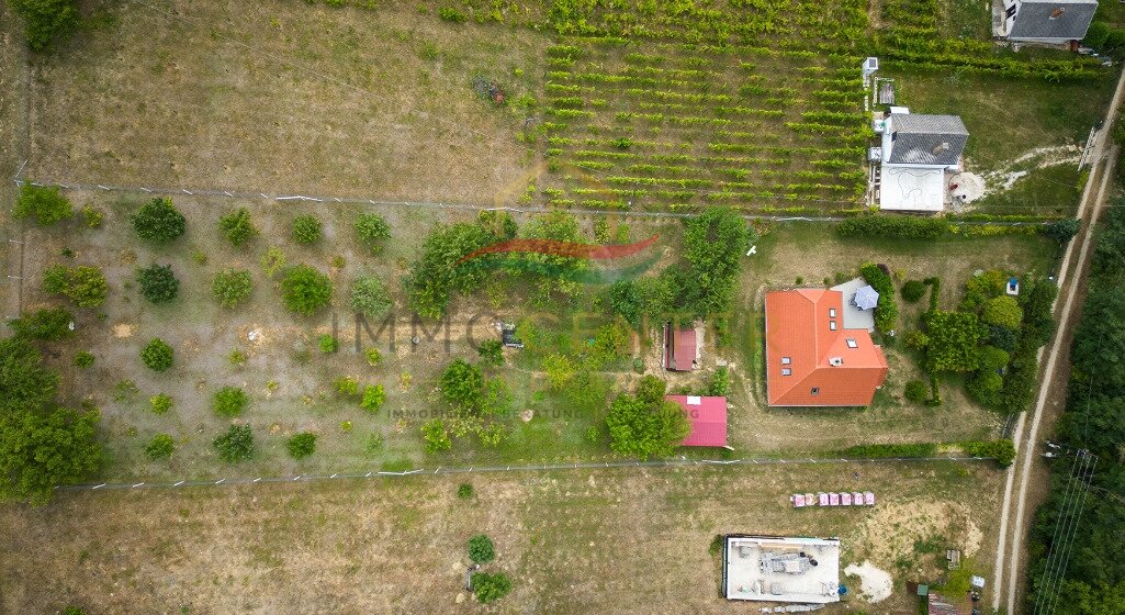 (AAA) Landhaus in ruhiger Weinberglage bei Tapolca (33471)