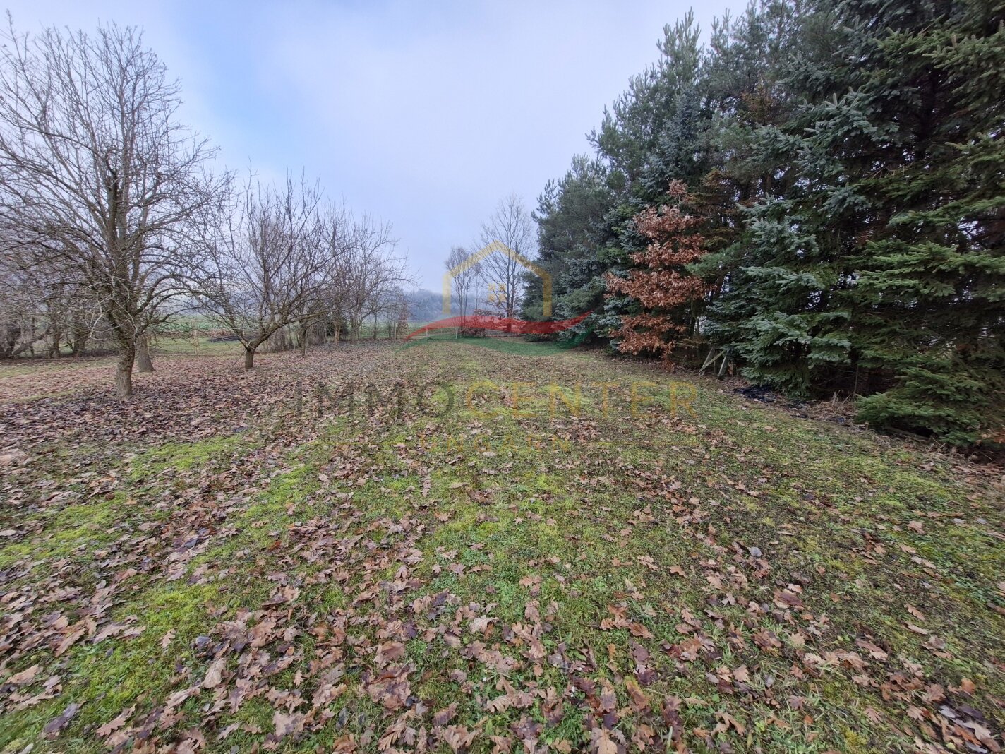 (BAA) Energieautarkes Landhaus mit Blockhütte & Sauna auf einem 7000 m² großen Panoramagrundstück (SJ001)
