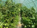 (BBB) Landhaus mit fantastischem Bauerngarten u. großem Grundstück ideal für Selbstversorger (CM033-3)