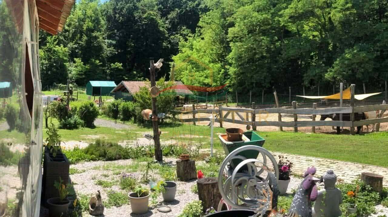 (BAA) Wunderbar ruhige Lage für Tierhaltung ideal (CM0215)