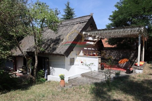 (BAA) Märchenhaftes, fast 100 Jahre altes Reetdach-Bauernhaus bei Györ (Lux003)