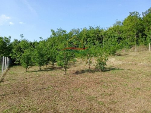 (BAA) Ruhiges Wohnen am Waldrand – renoviertes Haus im Herzen der Somogy (Lux011)