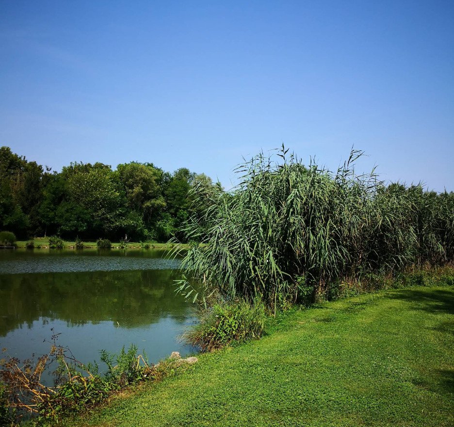 Exklusives Freizeit- und Investitionsobjekt: Gepflegter Angelsee in Top-Lage bei Pécs (KK001-3)