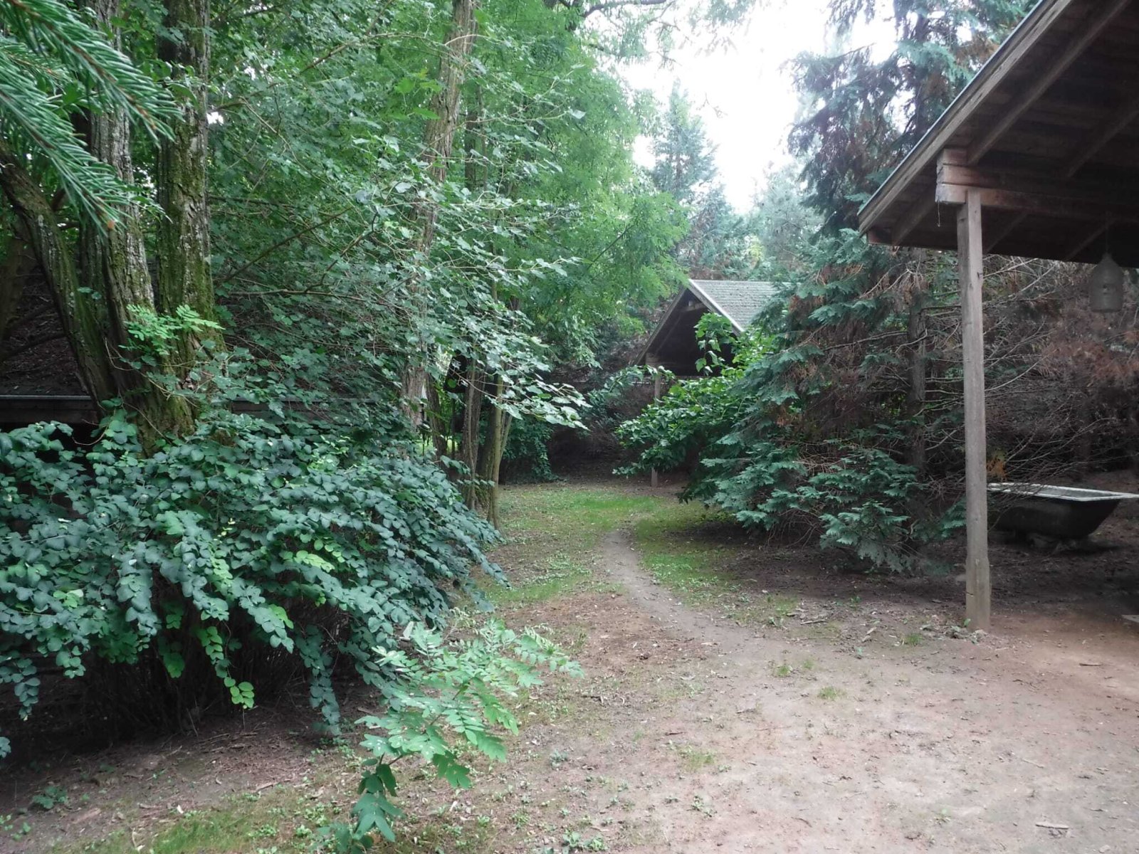 Exklusives Freizeit- und Investitionsobjekt: Gepflegter Angelsee in Top-Lage bei Pécs (KK001-3)