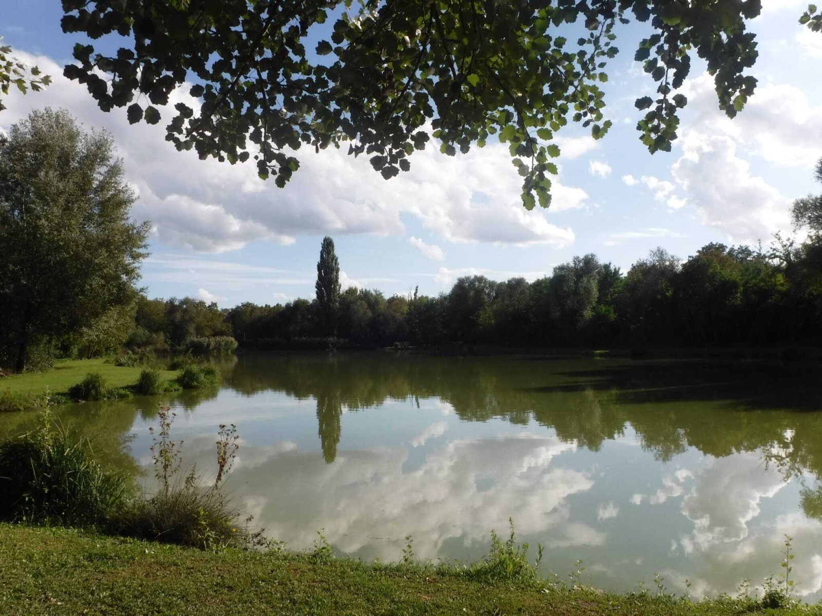 Exklusives Freizeit- und Investitionsobjekt: Gepflegter Angelsee in Top-Lage bei Pécs (KK001-3)