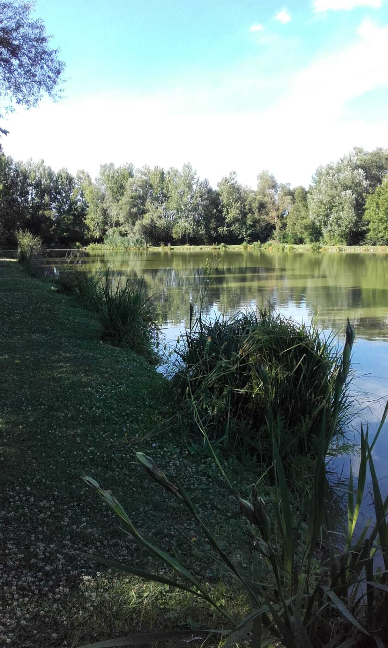 Exklusives Freizeit- und Investitionsobjekt: Gepflegter Angelsee in Top-Lage bei Pécs (KK001-3)