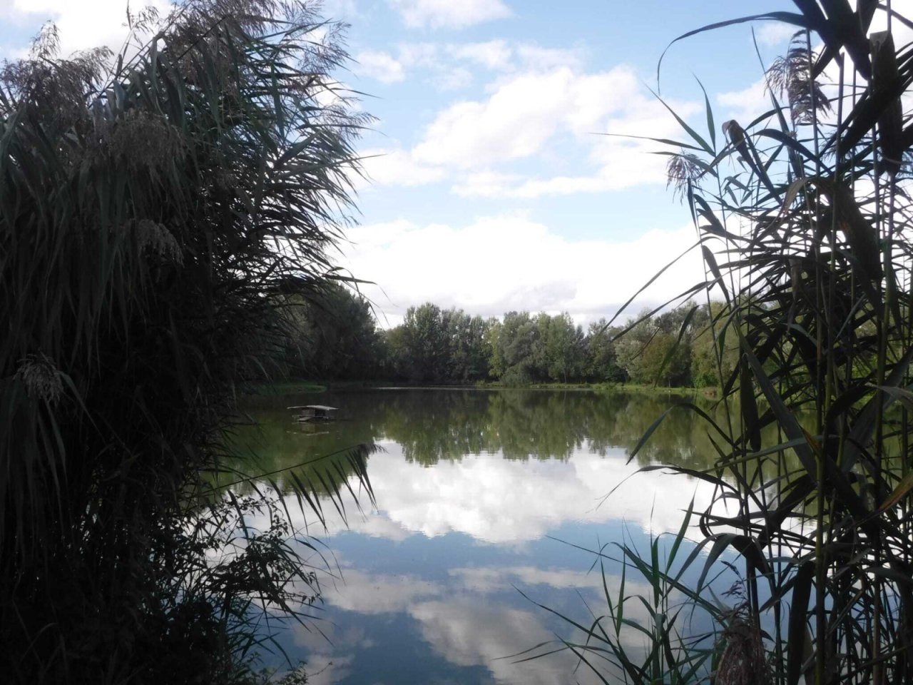 Exklusives Freizeit- und Investitionsobjekt: Gepflegter Angelsee in Top-Lage bei Pécs (KK001-3)