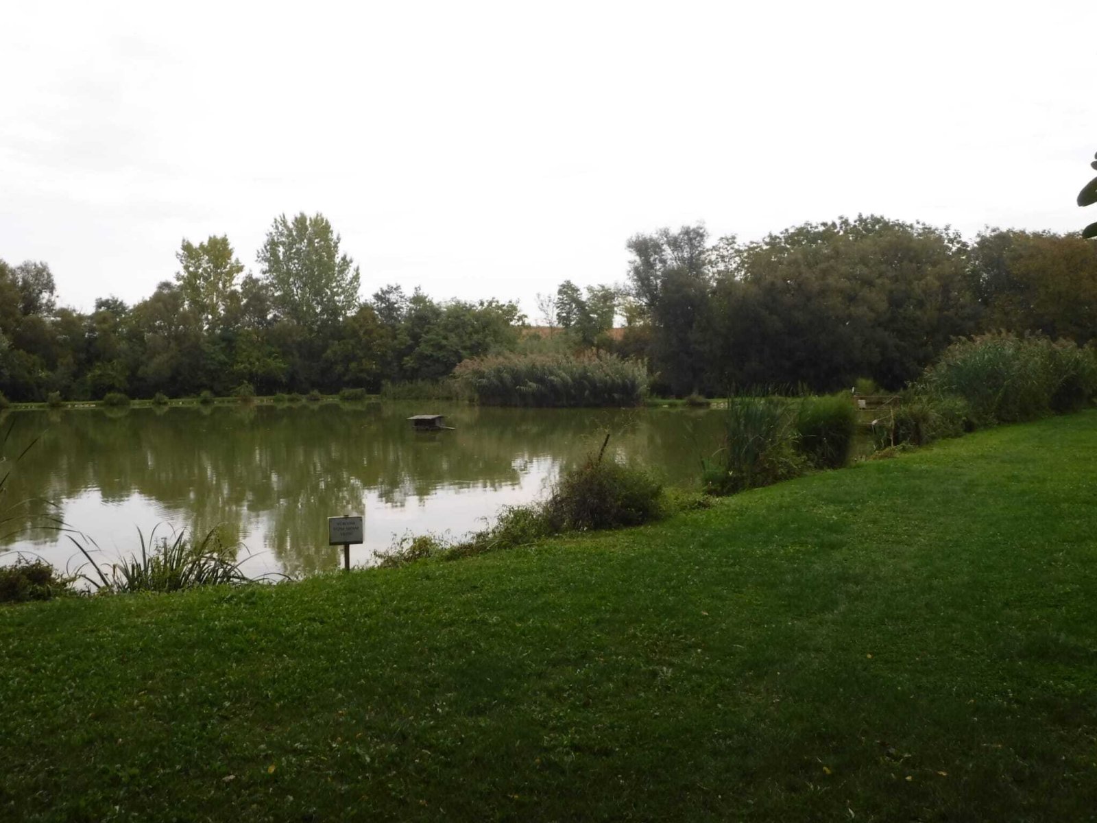 Exklusives Freizeit- und Investitionsobjekt: Gepflegter Angelsee in Top-Lage bei Pécs (KK001-3)