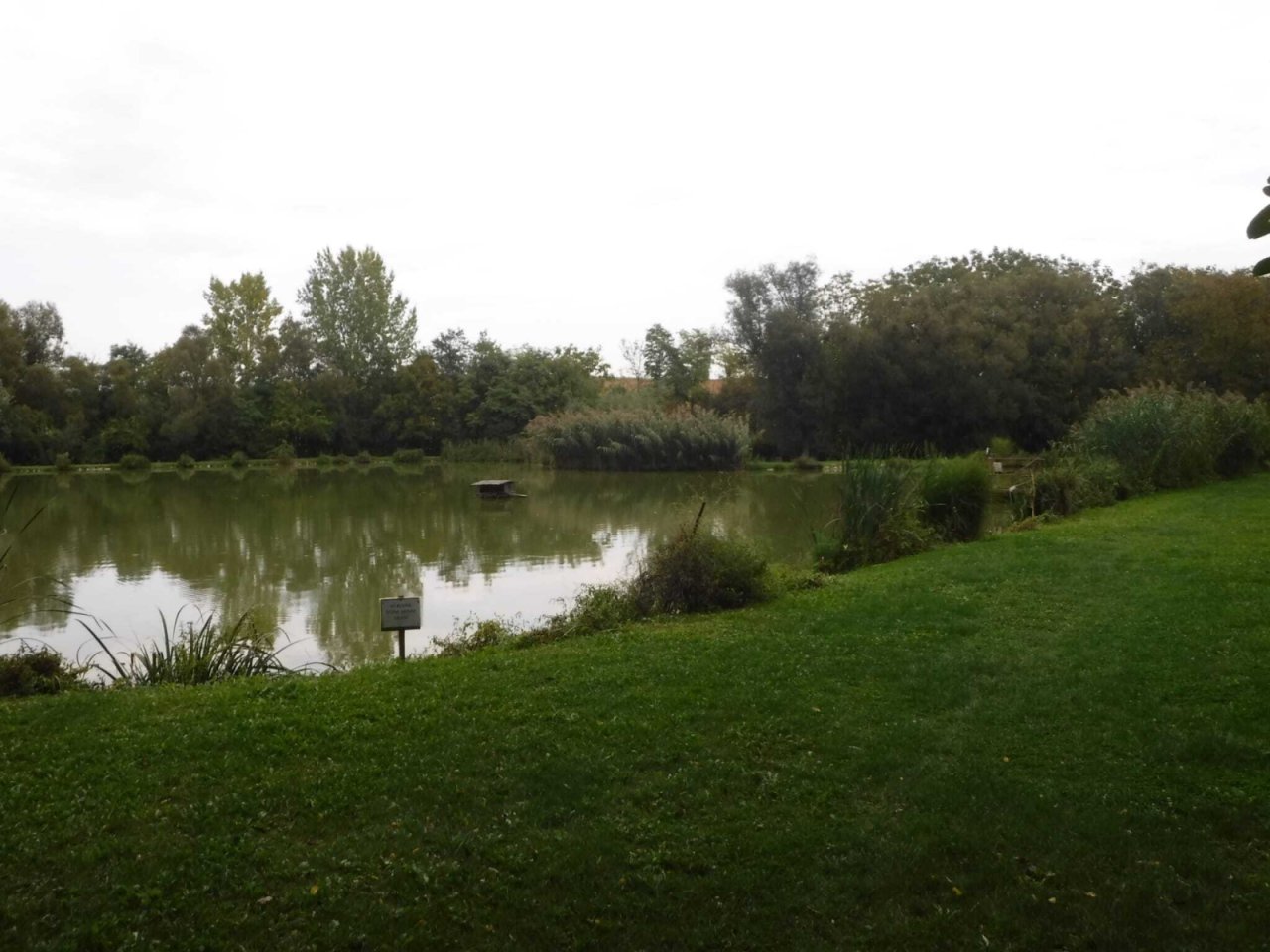 Exklusives Freizeit- und Investitionsobjekt: Gepflegter Angelsee in Top-Lage bei Pécs (KK001-3)