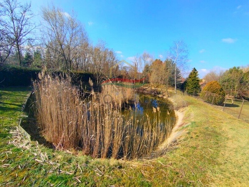 (BBA) Einfamilienhaus mit eigenem Fischteich, Pool und Werkstatt (Lux015)