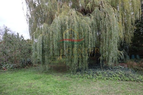 Großzügige Landresidenz nahe Győr (Lux016)