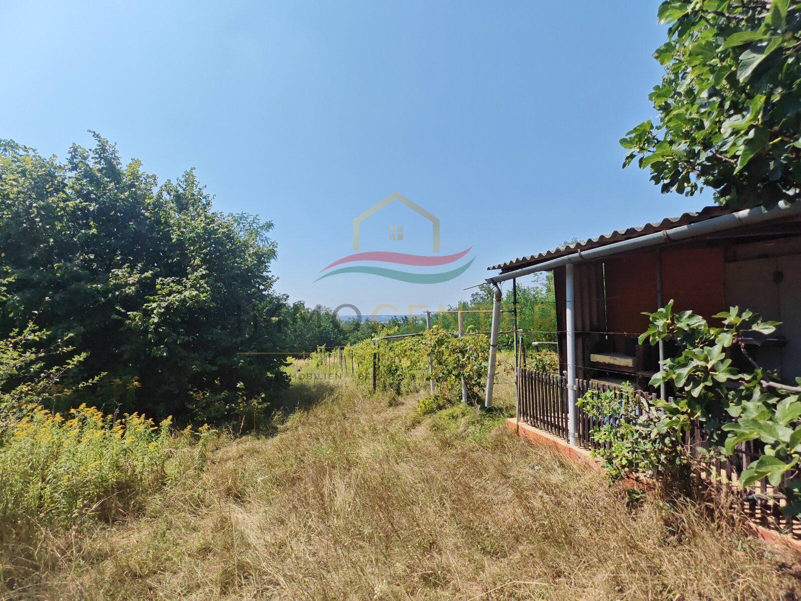 (B-A) Der ideale Rückzugsort in den Weinbergen des Zalatales (CM0488)
