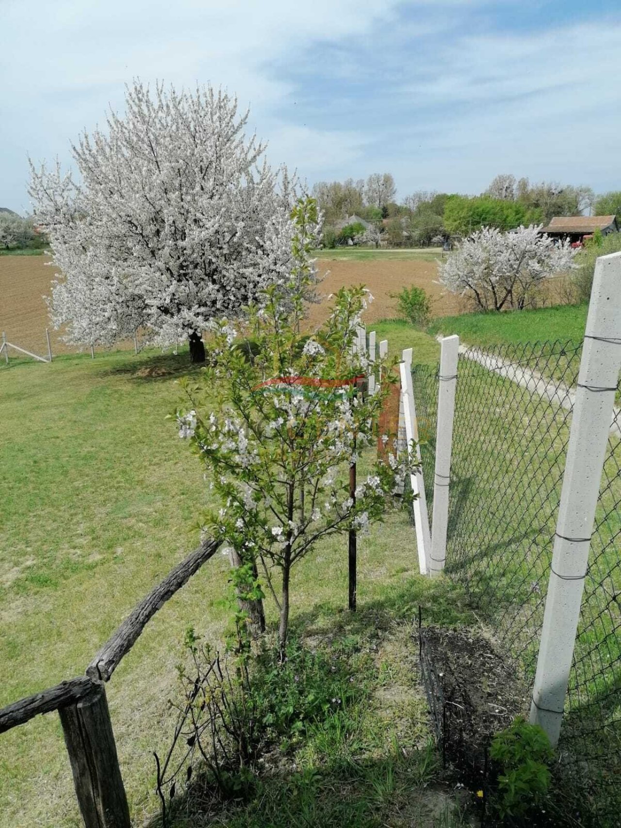 (AAA) Geräumiges Einfamilienhaus+ Einliegerwohnung in einer ruhigen, grünen Wohngegend (KK1981)