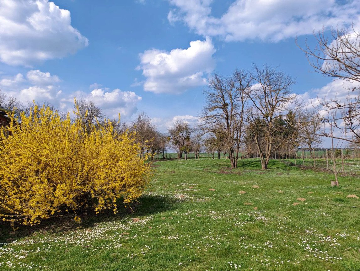 Ebenerdiges & breites Baugrundstück in friedlicher Lage mit Brunnen