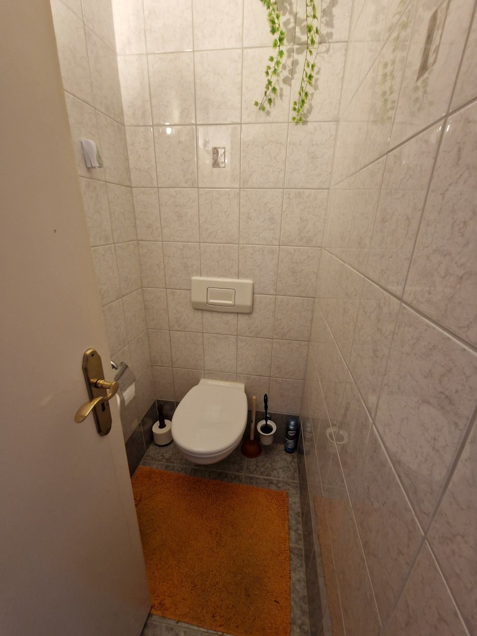 (AAB) Großes Landhaus mit Pool in ruhiger Lage bei Heviz (HCM306-4) — Gäste WC EG