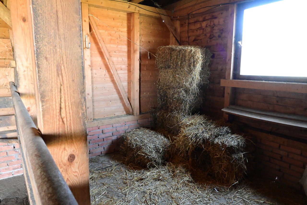(BAB) Wunderschönes ungarisches Landhaus mit großem Grundstück und Pferdeboxen (HCM307-5)