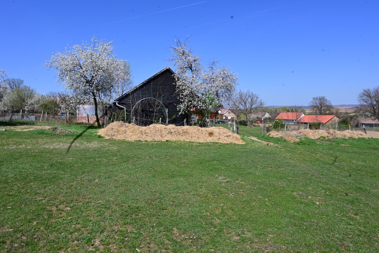 (BAB) Wunderschönes ungarisches Landhaus mit großem Grundstück und Pferdeboxen (HCM307-5)
