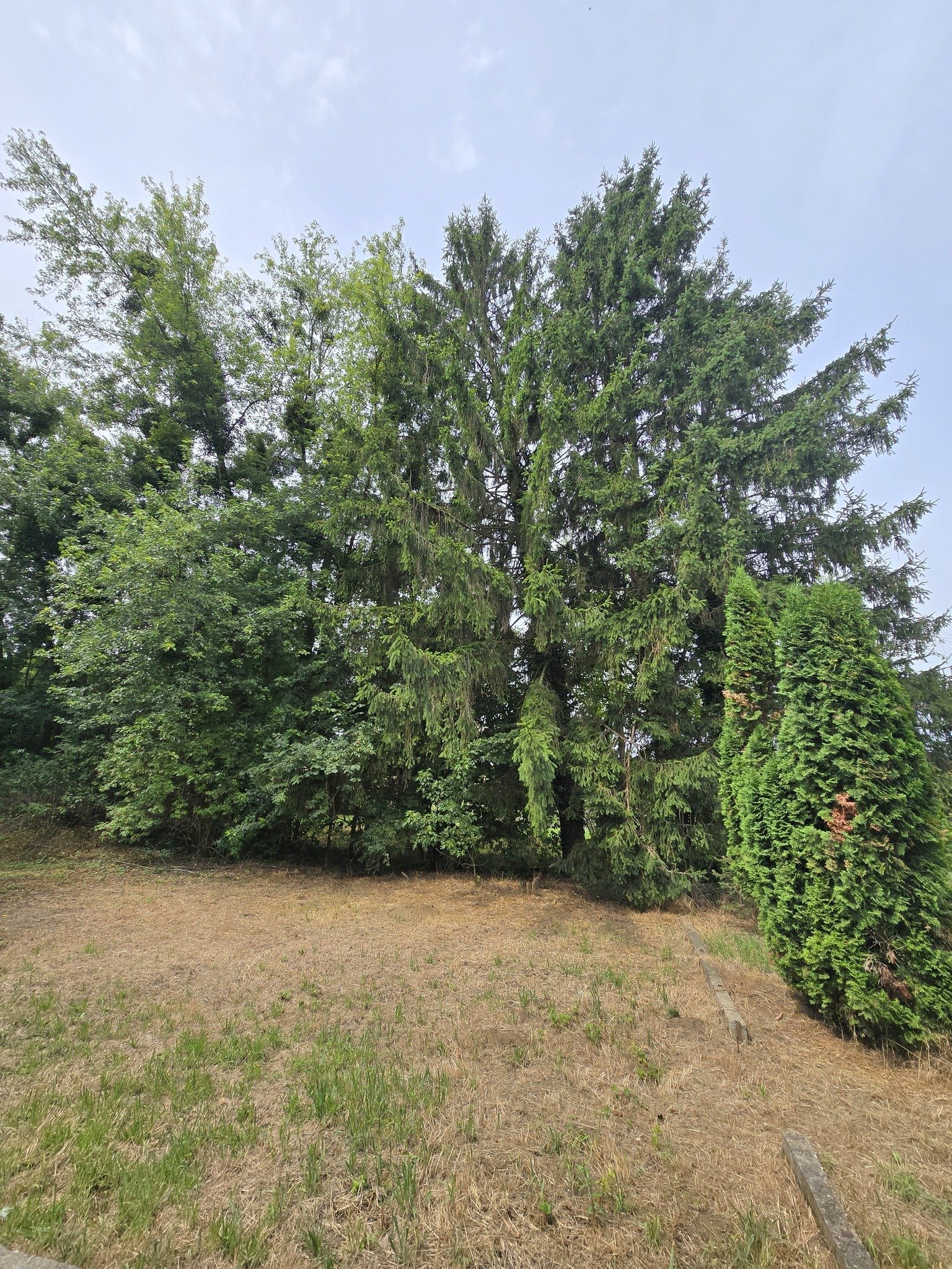 (BBA) Großes Familienhaus in schöner & ruhiger Lage (KK005-2)